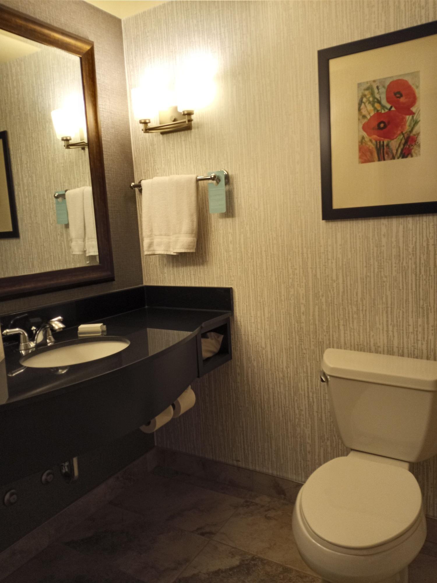 Hilton Garden Inn Calgary Airport Extérieur photo